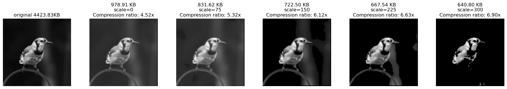 simple jpeg